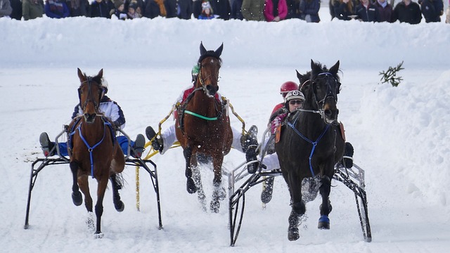 洛杉矶奥运混团赛，孙颖莎王楚钦还有单打机会吗？教练组重用2人
