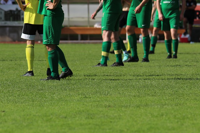 辽宁男篮大胜浙江王哲林状态火热